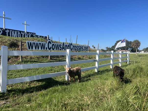 Farm Model 9-19-25